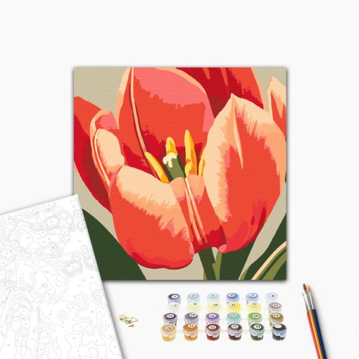 Élénk tulipán - Számfestő készlet kereten 40x40