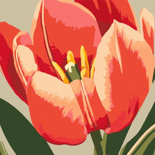 Élénk tulipán - Számfestő készlet kereten 40x40