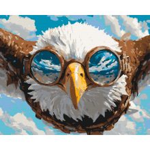 Sas repülés - Számfestő készlet kereten 40x50