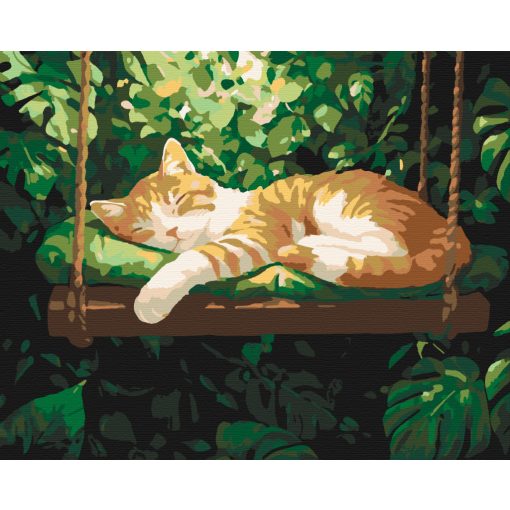 Hintacica - Számfestő készlet kereten 40x50