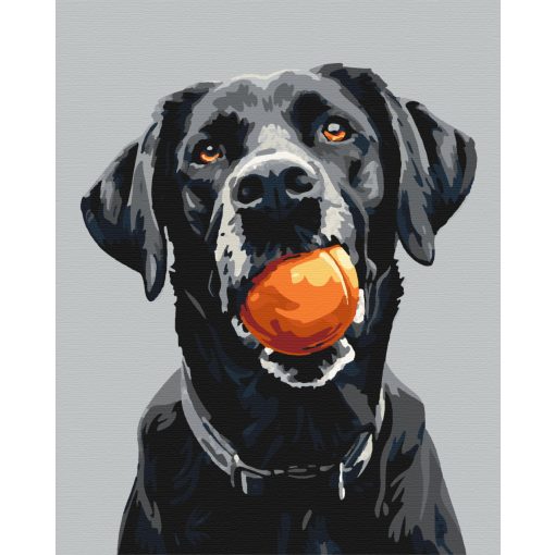 Játékidő - Számfestő készlet kereten 40x50