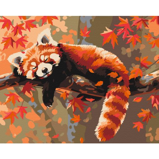 Vörös panda - Számfestő készlet kereten 40x50