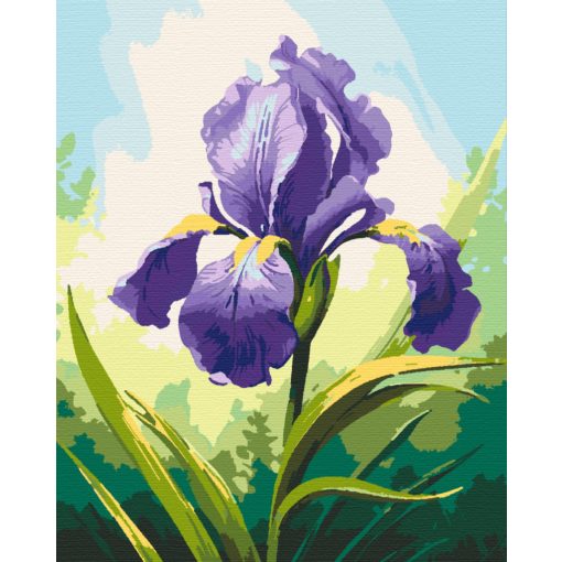 Napfényes írisz - Számfestő készlet kereten 40x50