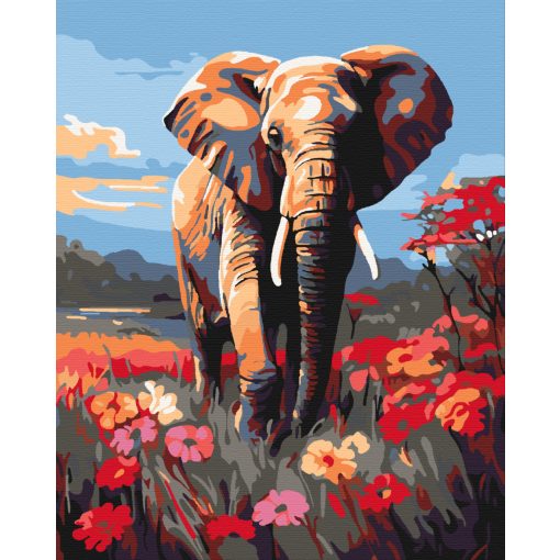 Afrikai elefánt - Számfestő készlet kereten 40x50
