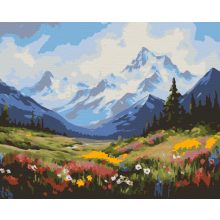 Elvarázsolt rét - Számfestő készlet kereten 40x50