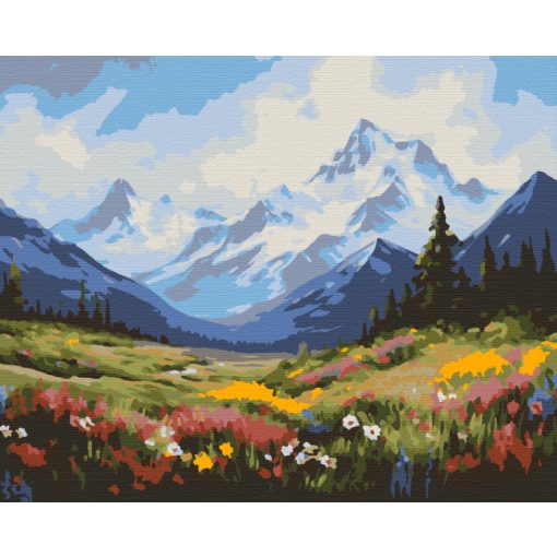 Elvarázsolt rét - Számfestő készlet kereten 40x50