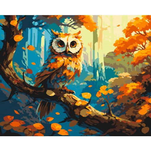 Bagolyles - Számfestő készlet kereten 40x50