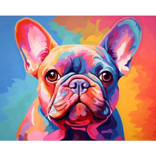 Színes bulldog - Számfestő készlet kereten 40x50