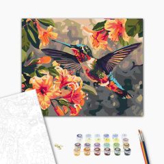 Kolibri tánc - Számfestő készlet kereten 40x50