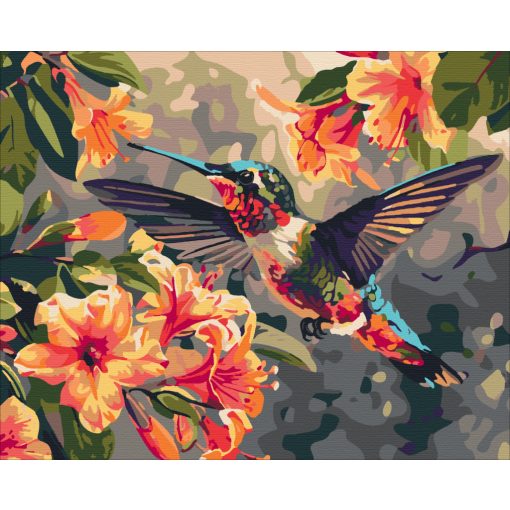 Kolibri tánc - Számfestő készlet kereten 40x50