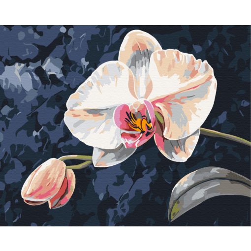 Orchidee - Malen-nach-Zahlen-Set auf Keilrahmen 40x50