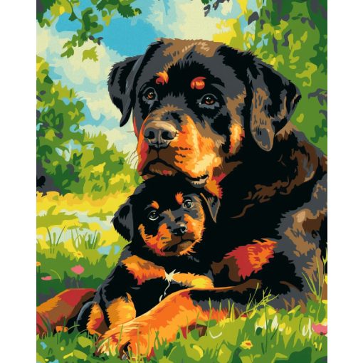 Rottweiler kölyökkutya - Számfestő készlet kereten 40x50