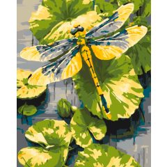 Szitakötő liliom - Számfestő készlet kereten 40x50