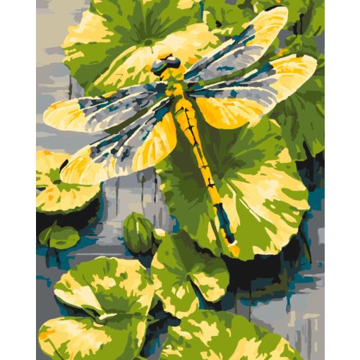 Szitakötő liliom - Számfestő készlet kereten 40x50