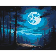 Telihold erdeje - Számfestő készlet kereten 40x50