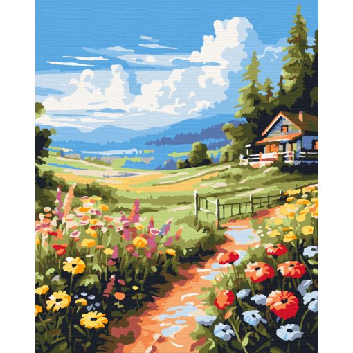 A rét színei - Számfestő készlet kereten 40x50