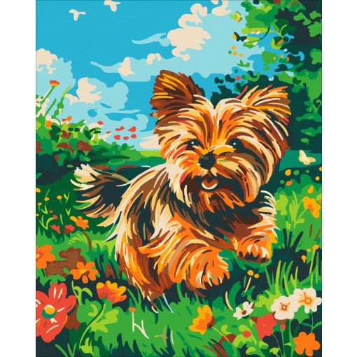 Játékos yorkie - Számfestő készlet kereten 40x50