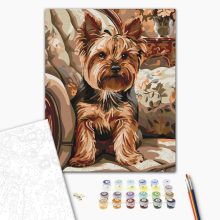 Ülő yorkie - Számfestő készlet kereten 40x50