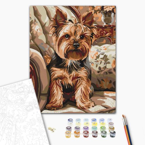 Ülő yorkie - Számfestő készlet kereten 40x50