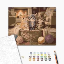 Dorombolda - Számfestő készlet kereten 40x50