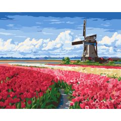 Holland tulipánmezők - Számfestő készlet kereten 40x50