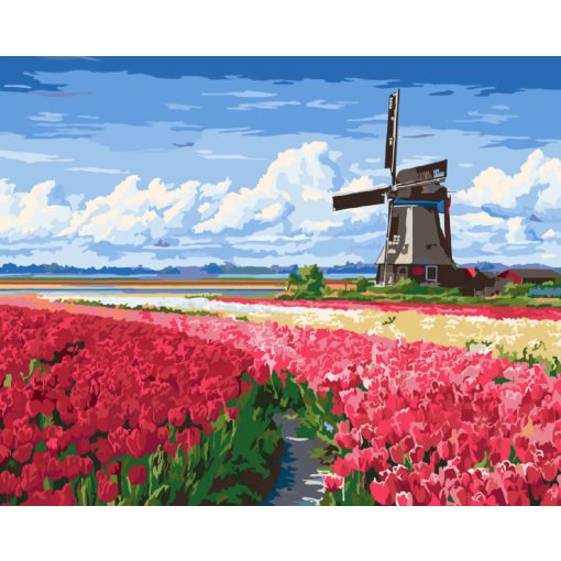Holland tulipánmezők - Számfestő készlet kereten 40x50