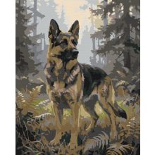 Erdőőr - Számfestő készlet kereten 40x50