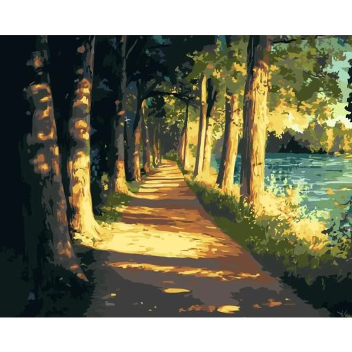 Arany ösvény - Számfestő készlet kereten 40x50