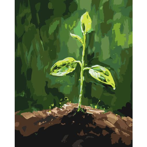 Zöld Remény - Számfestő készlet kereten 40x50