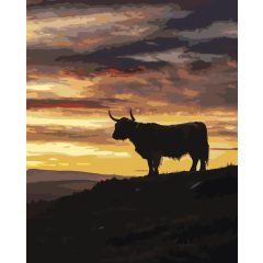 Aranyég árnyéka - Számfestő készlet kereten 40x50