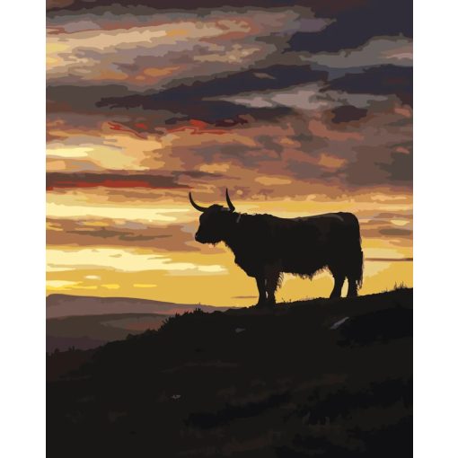 Aranyég árnyéka - Számfestő készlet kereten 40x50