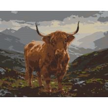 Felföldi fenség - Számfestő készlet kereten 40x50