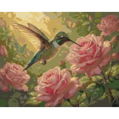 Kolibri és rózsák - Számfestő készlet kereten 40x50