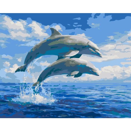 Ugró delfinek - Számfestő készlet kereten 40x50