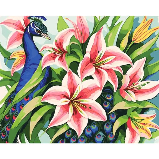 Páva - Számfestő készlet kereten 40x50