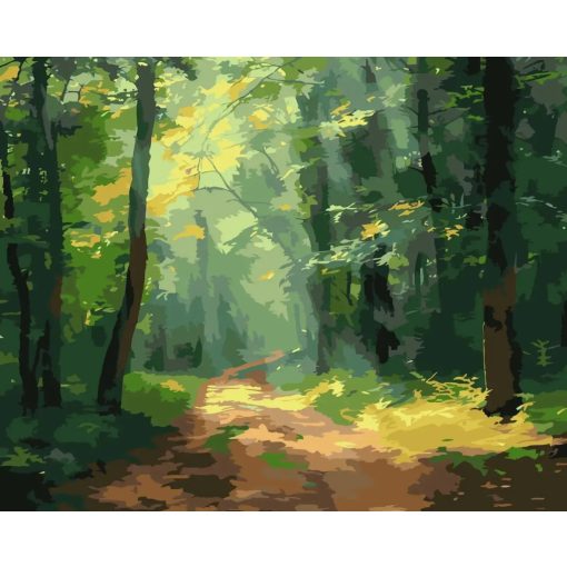 Sugárzó ösvény - Számfestő készlet kereten 40x50