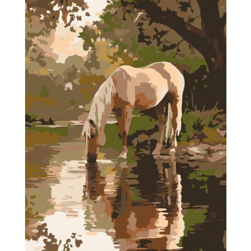 Erdei itató - Számfestő készlet kereten 40x50