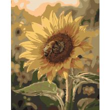 Napraforgó és méhecske - Számfestő készlet kereten 40x50