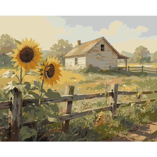 Napraforgó és parasztház - Számfestő készlet kereten 40x50