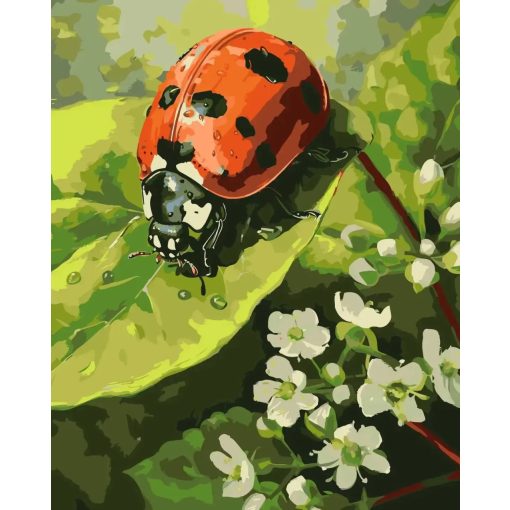 Apró felfedező, nagy világ - Számfestő készlet kereten 40x50