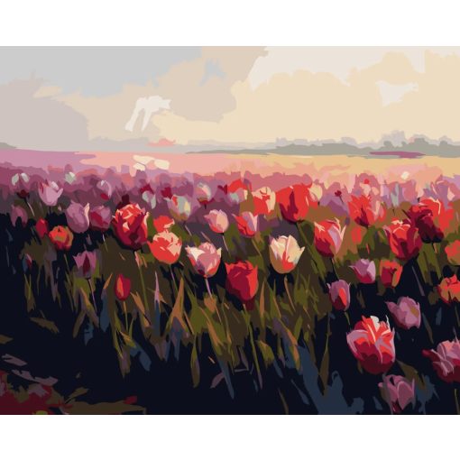 Tavaszi színáradat - Számfestő készlet kereten 40x50