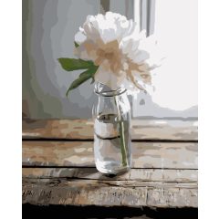 Egy szál bazsarózsa - Számfestő készlet kereten 40x50