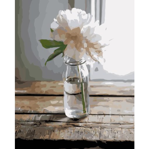 Egy szál bazsarózsa - Számfestő készlet kereten 40x50