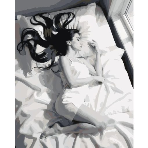 Csend a párnák között - Számfestő készlet kereten 40x50