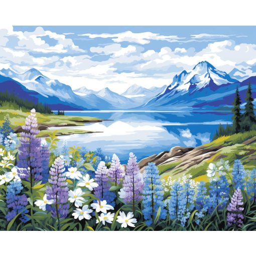 Szirmok és csúcsok - Számfestő készlet kereten 40x50