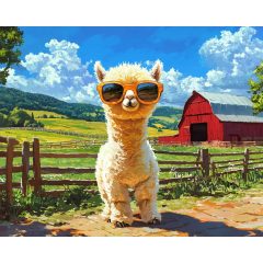 Falusi influenszer - Számfestő készlet kereten 40x50