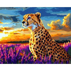   Gepárd a naplementében - Számfestő készlet kereten 40x50