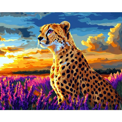 Gepárd a naplementében - Számfestő készlet kereten 40x50