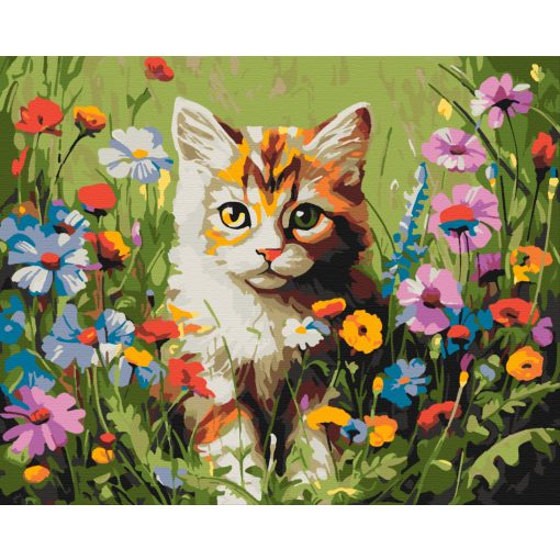 Botanikus macska - Számfestő készlet kereten 40x50