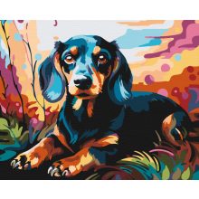 Puha mancsok - Számfestő készlet kereten 40x50